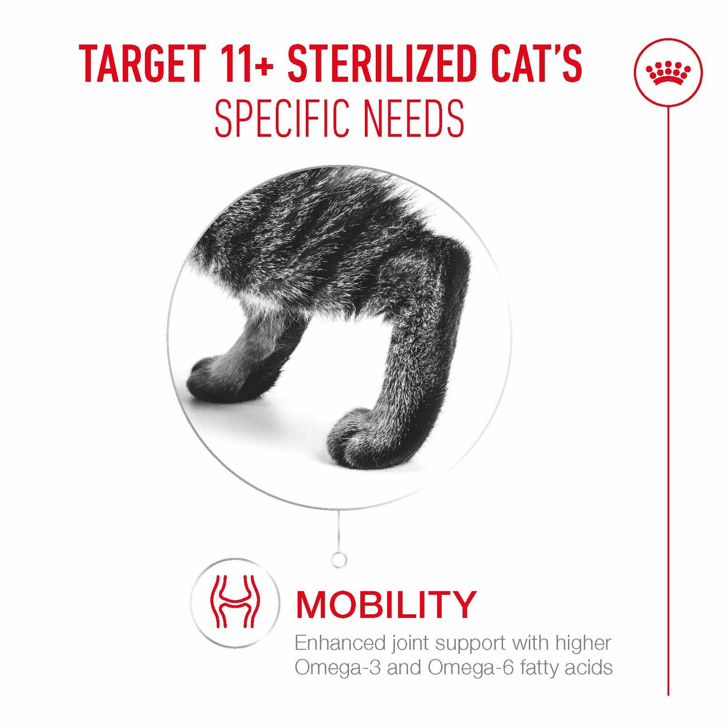 Royal Canin Ageing 11+ Sterilised Senior Dry Cat Food