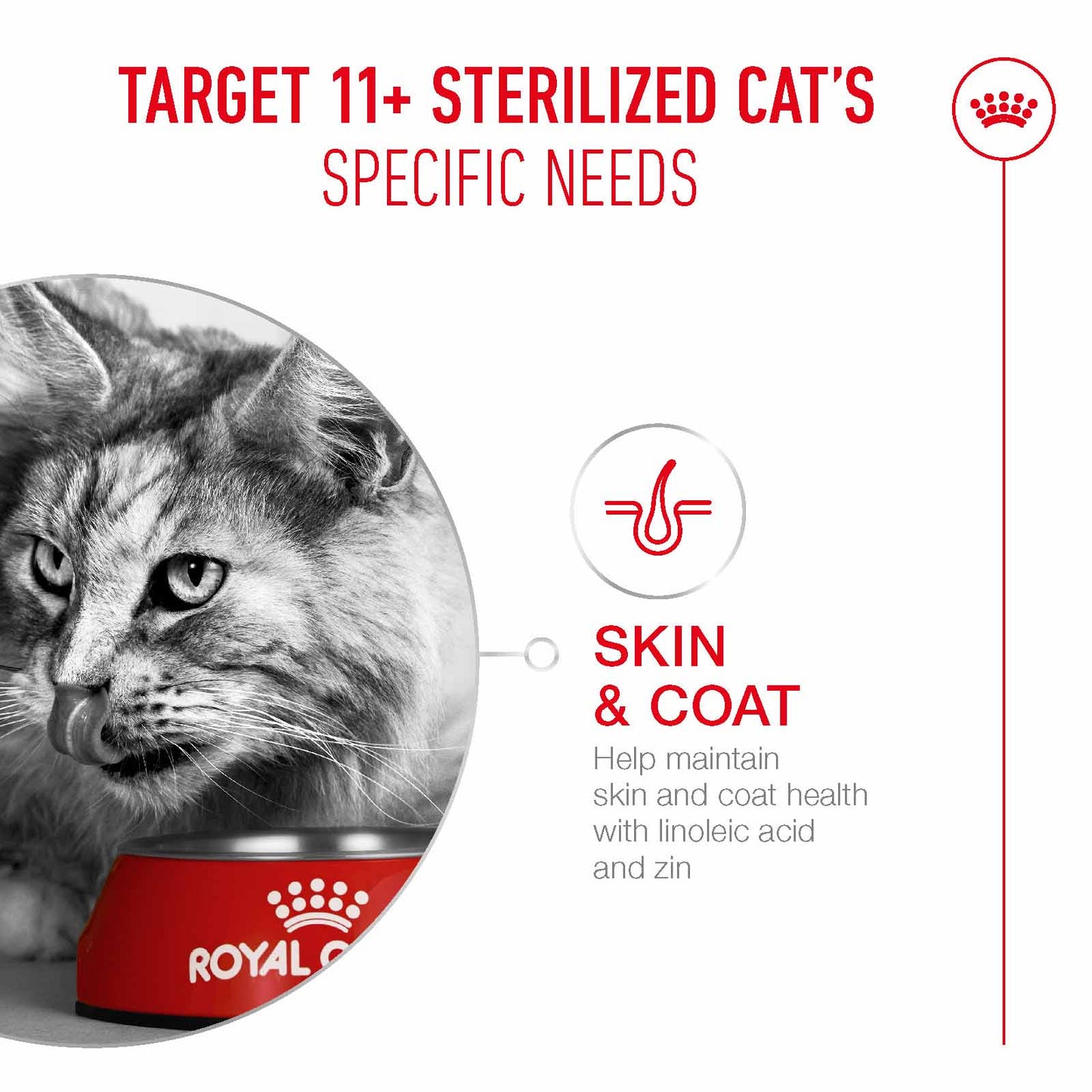 Royal Canin Ageing 11+ Sterilised Senior Dry Cat Food