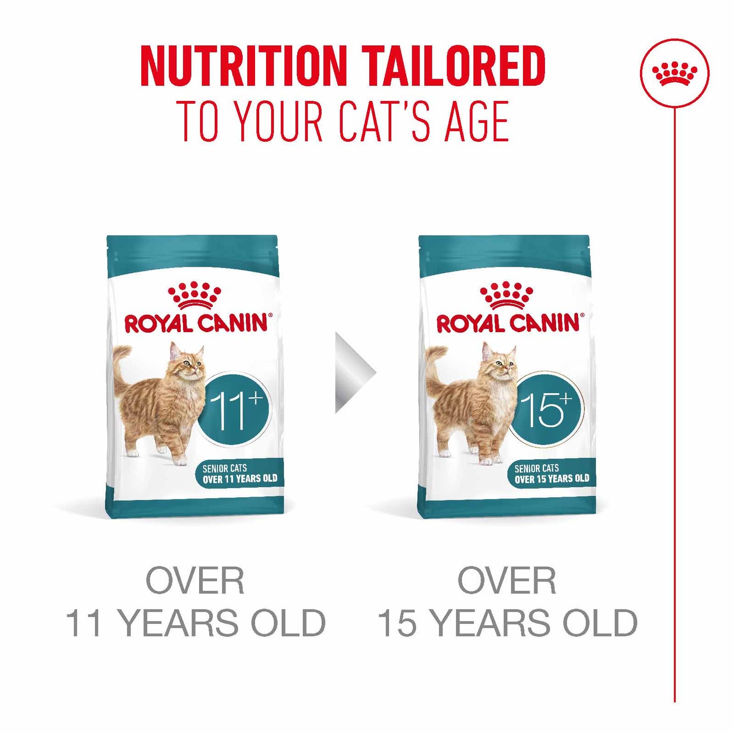 Royal Canin Ageing 11+ Sterilised Senior Dry Cat Food