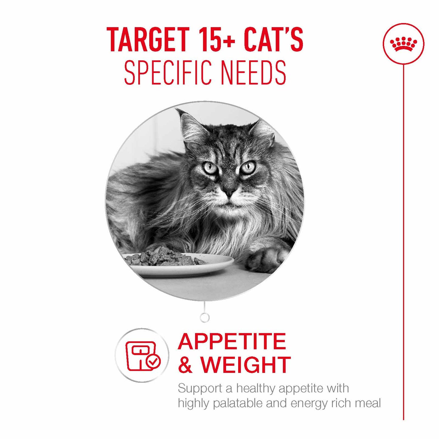 Royal Canin Ageing 15+ Senior Dry Cat Food