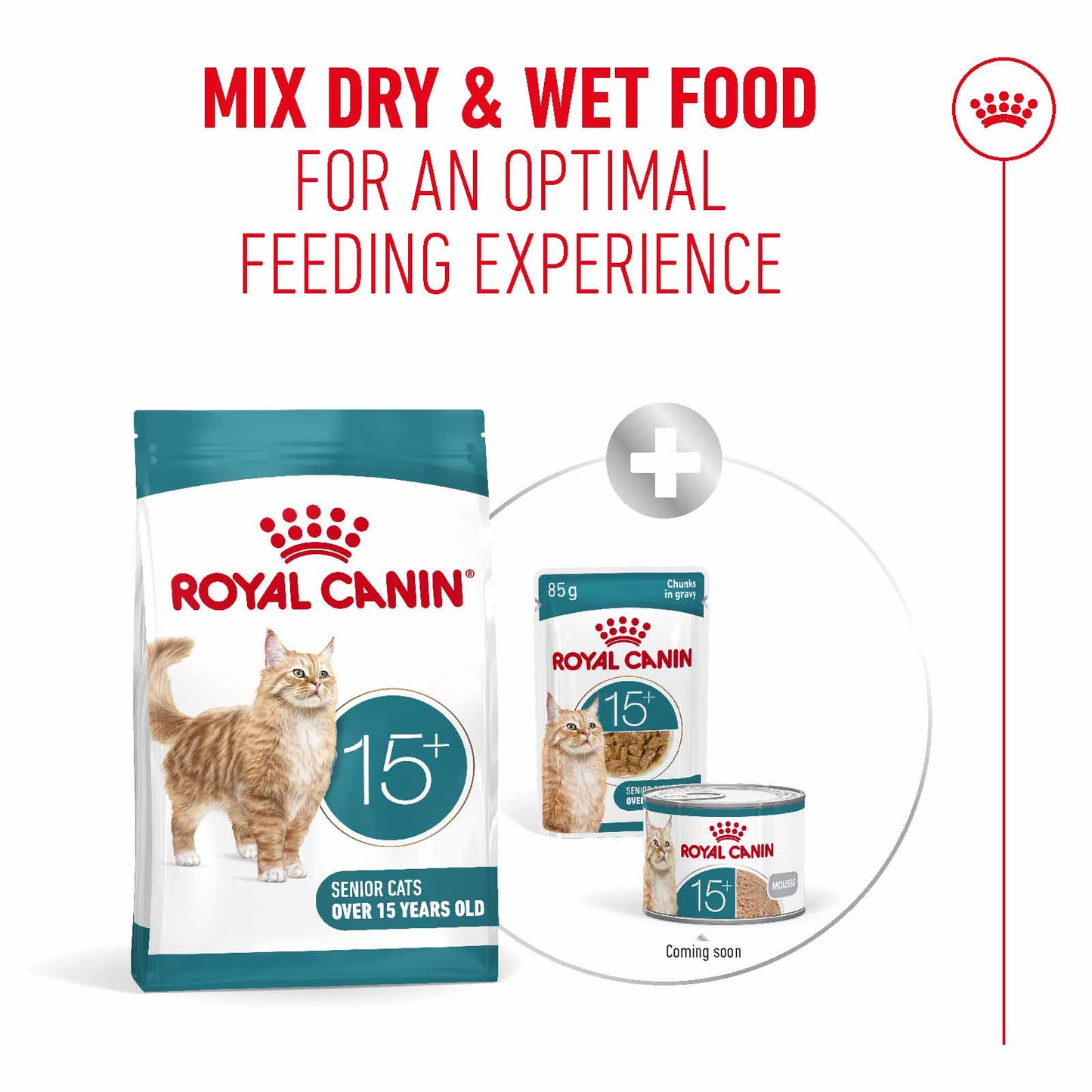Royal Canin Ageing 15+ Senior Dry Cat Food