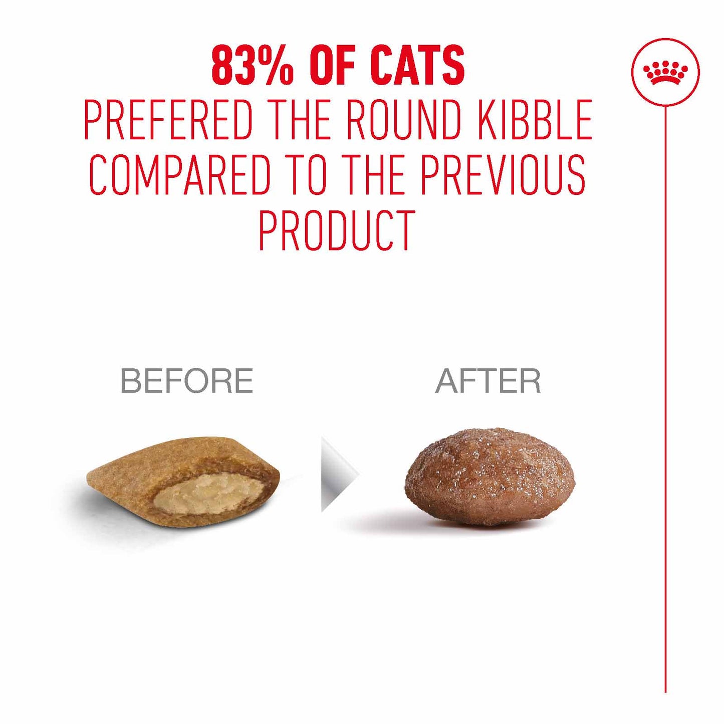 Royal Canin Ageing 15+ Senior Dry Cat Food