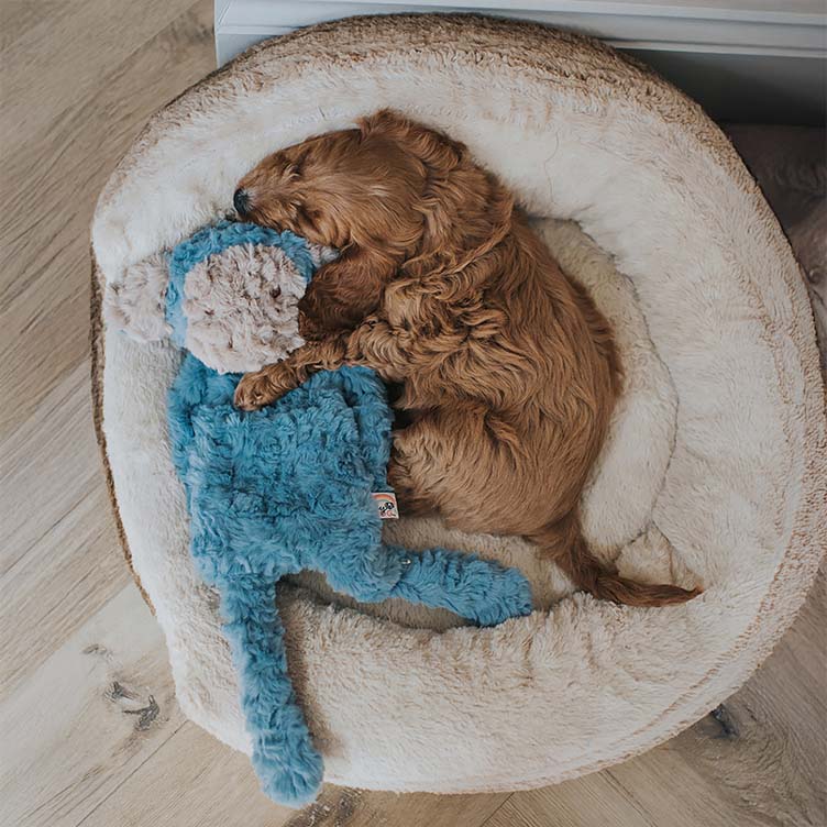 Rosewood My Dog Monkey Stuffingless Dog Toy