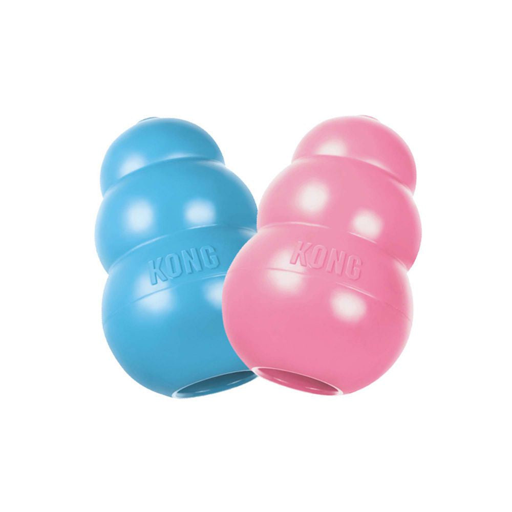 KONG Squiggles Dog Toy