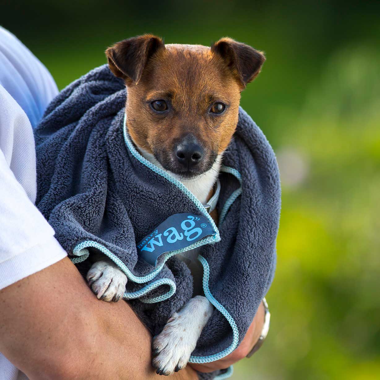 Henry Wag Microfibre Towel - Small 100x70cm