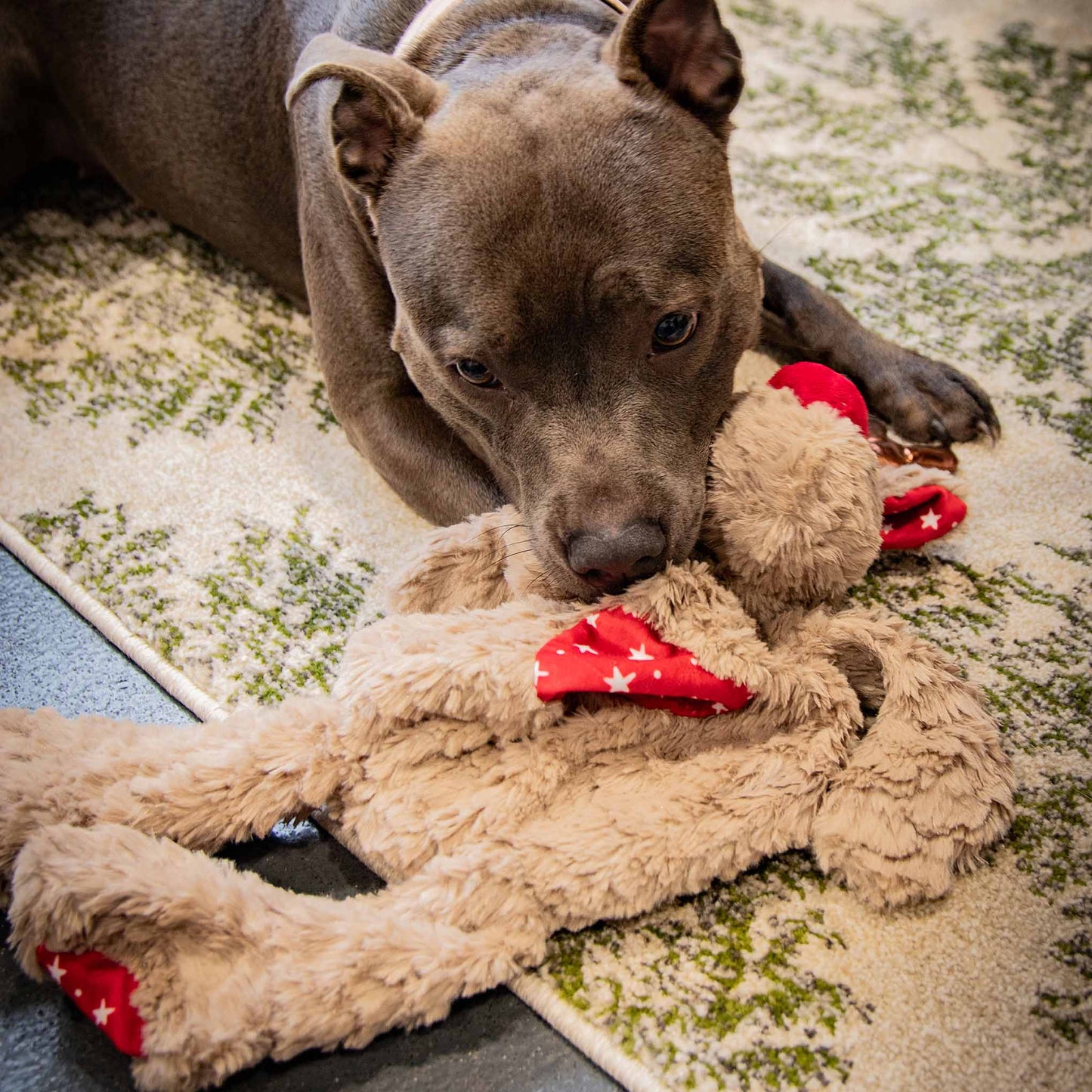 Rosewood Cupid & Comet Rita Reindeer Comfort Dog Toy