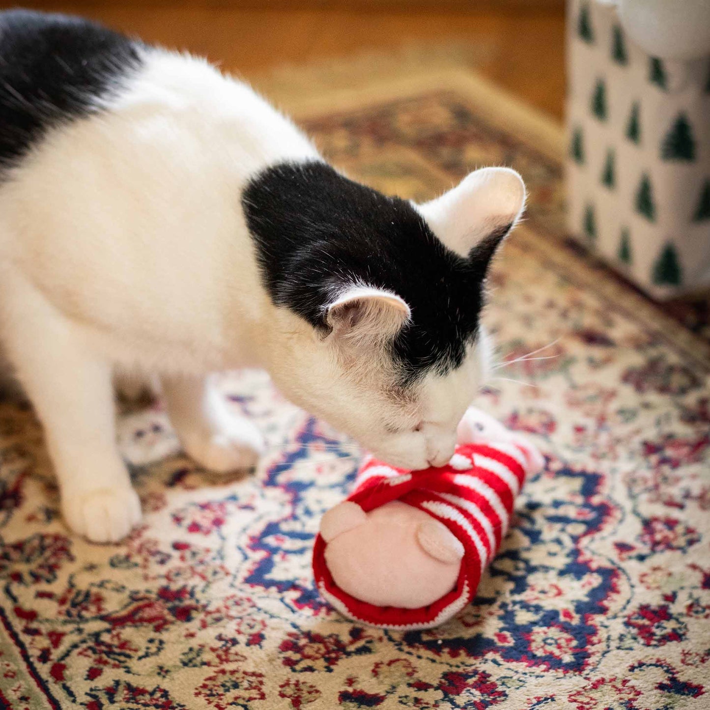 Rosewood Cupid & Comet Penny Pig In Blanket Dog Toy