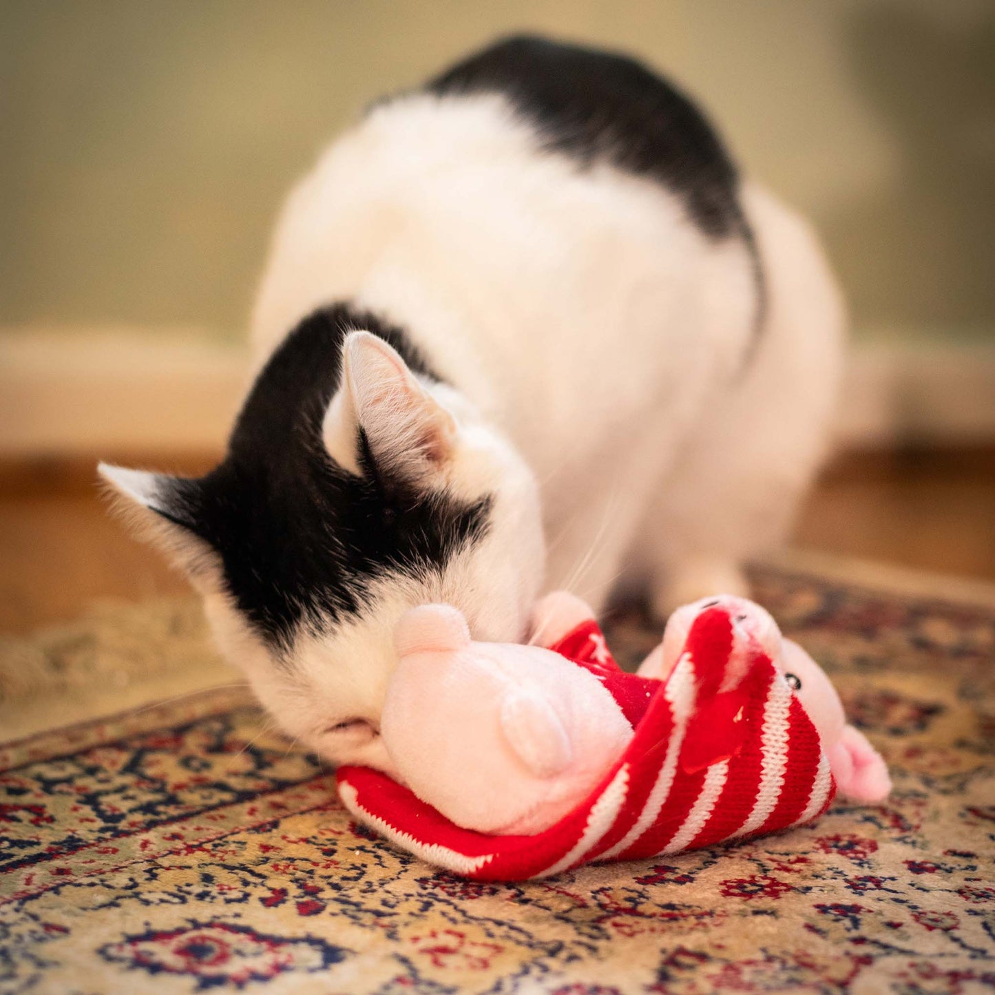 Rosewood Cupid & Comet Penny Pig In Blanket Dog Toy