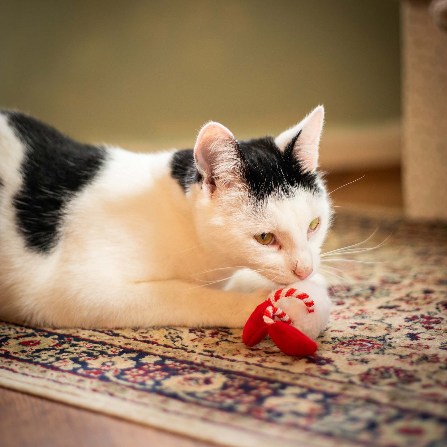 Rosewood Cupid & Comet Gus Gonk Cat Toy