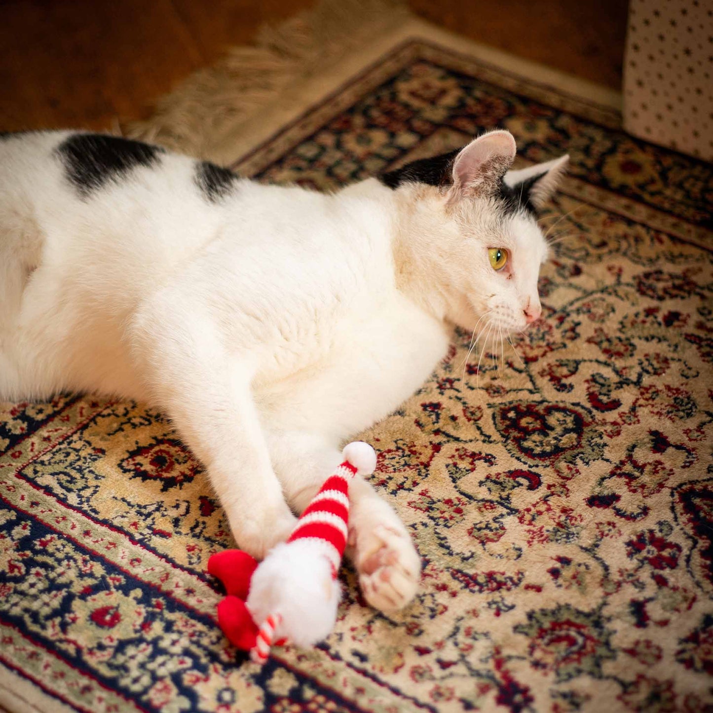 Rosewood Cupid & Comet Gus Gonk Cat Toy