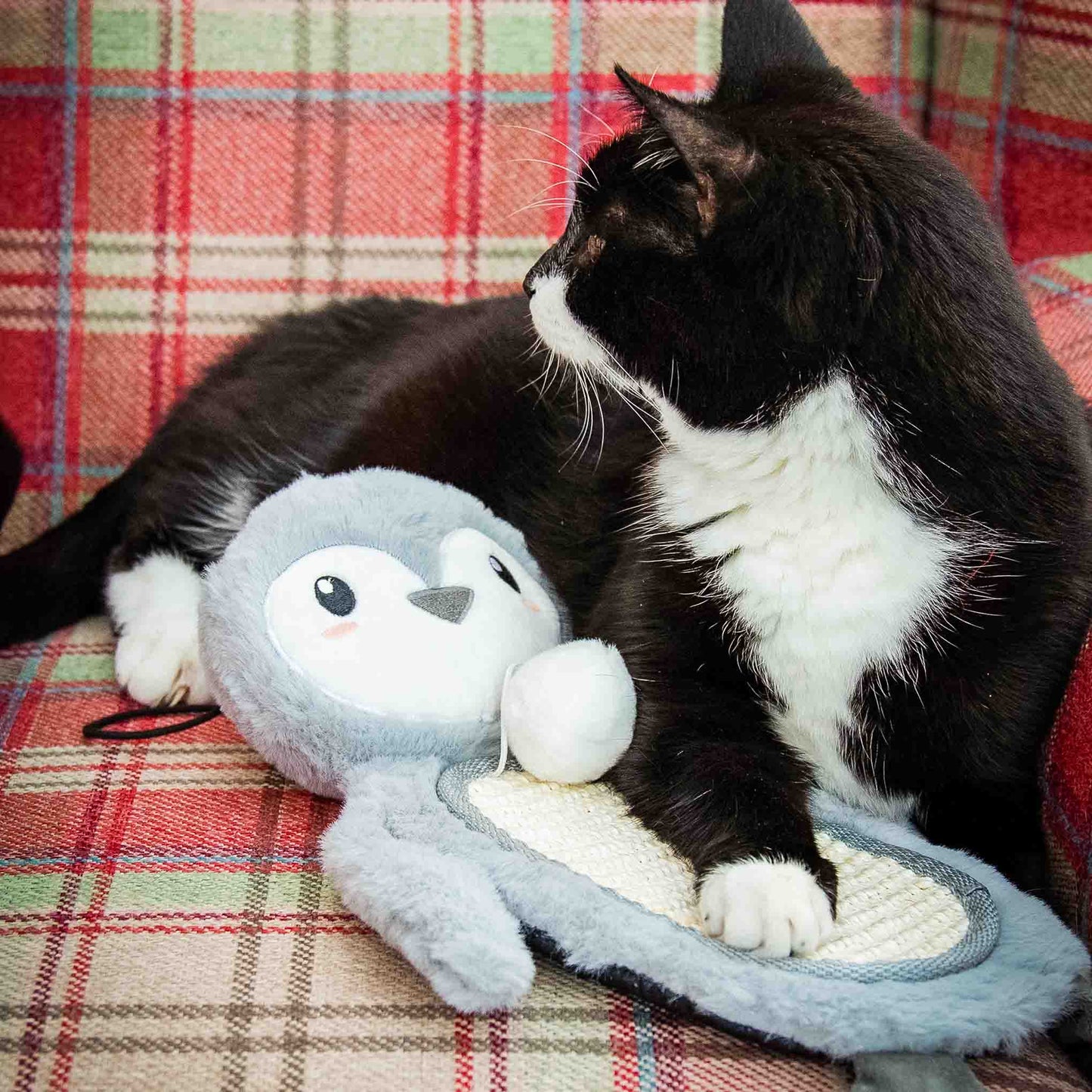 Rosewood Cupid & Comet Mr Poppy Penguin Cat Scratch Toy