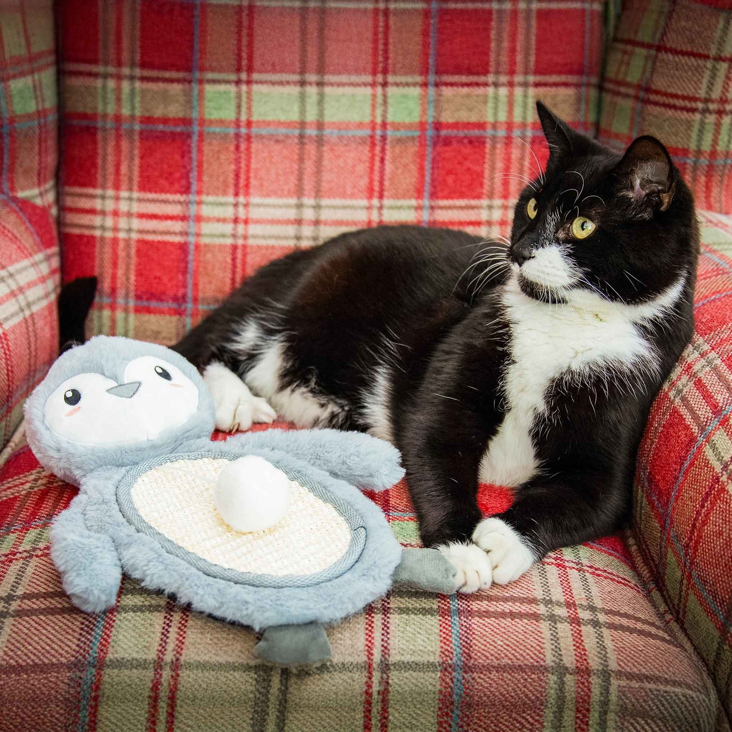 Rosewood Cupid & Comet Mr Poppy Penguin Cat Scratch Toy