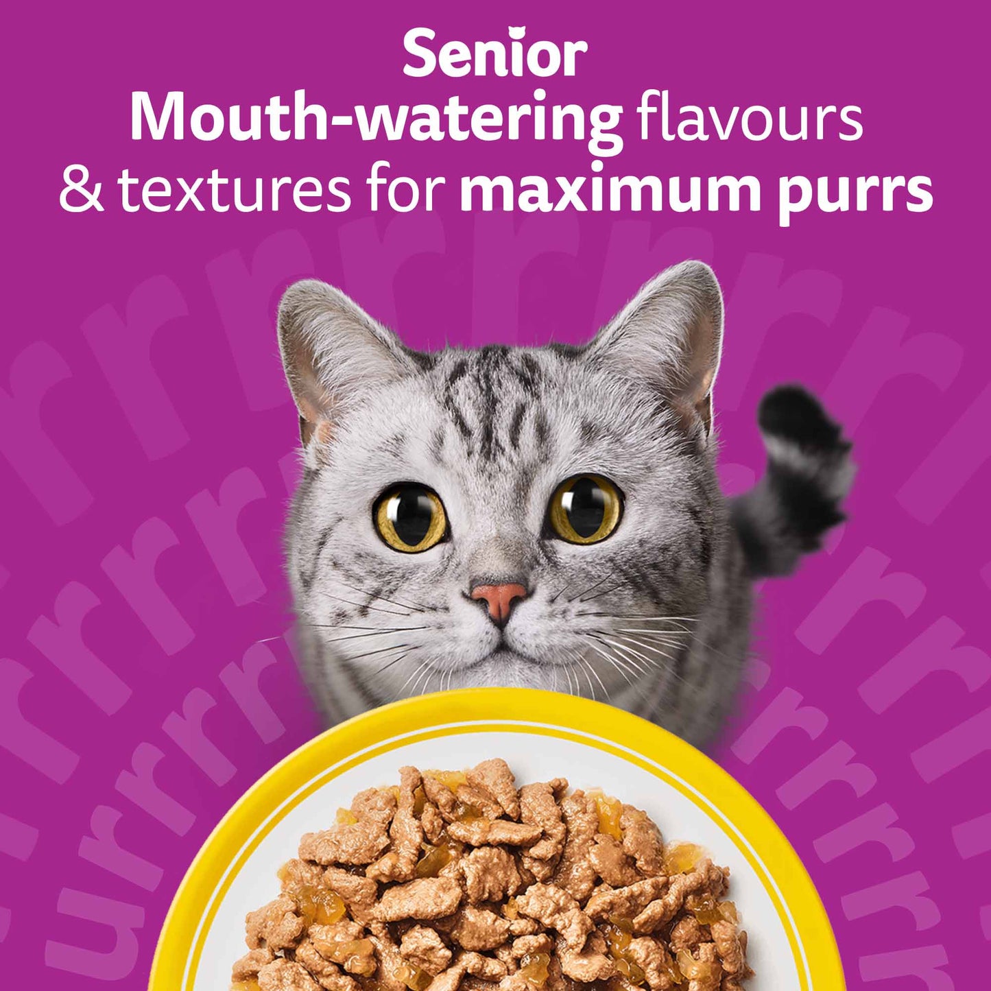 WHISKAS 7+ Senior Wet Cat Food in Jelly - Poultry Feasts - 40x85g Pouches
