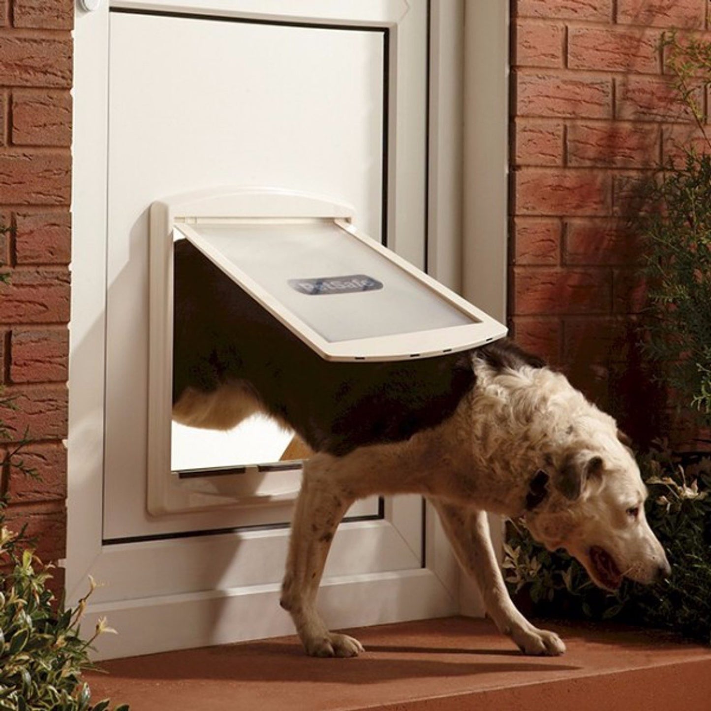 Petsafe Staywell Original 2 Way Pet Door - Large 760/775 - White