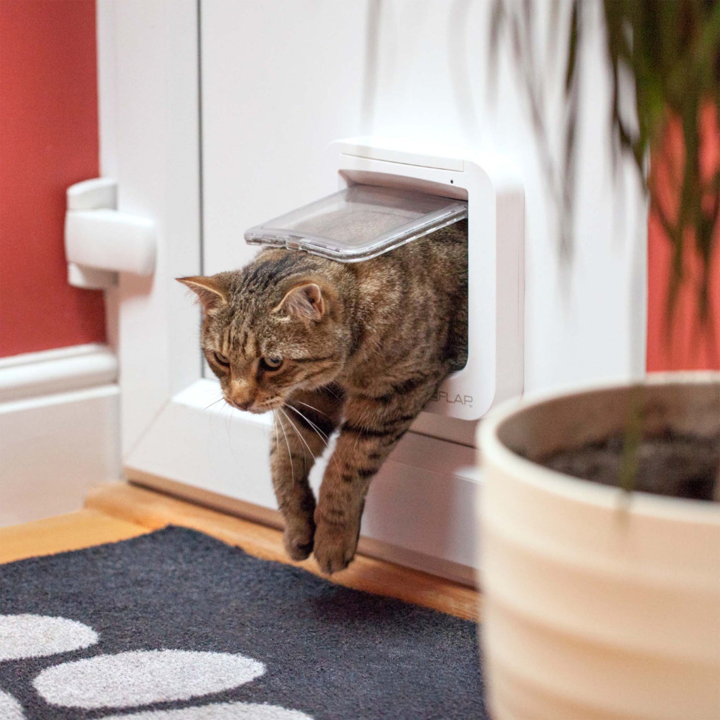 Sureflap Microchip Cat Flap