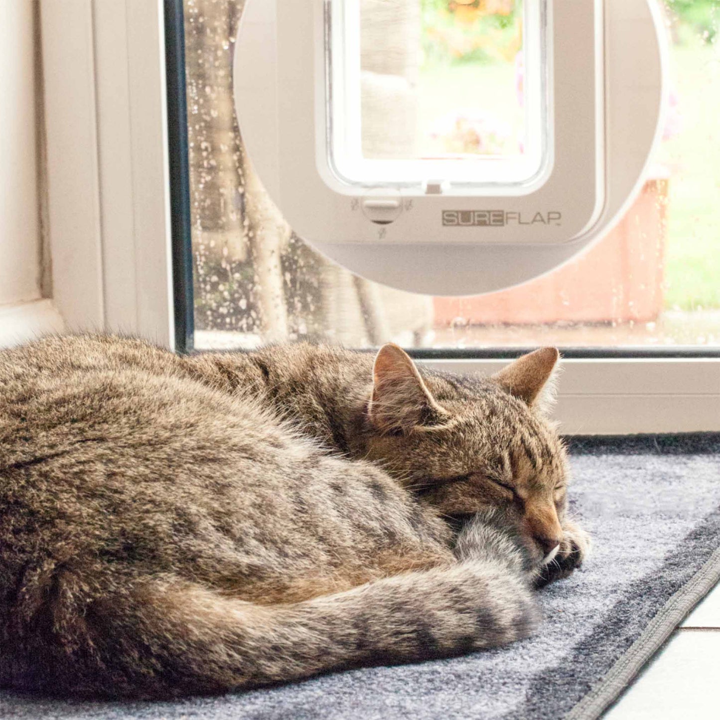 Sureflap Microchip Cat Flap