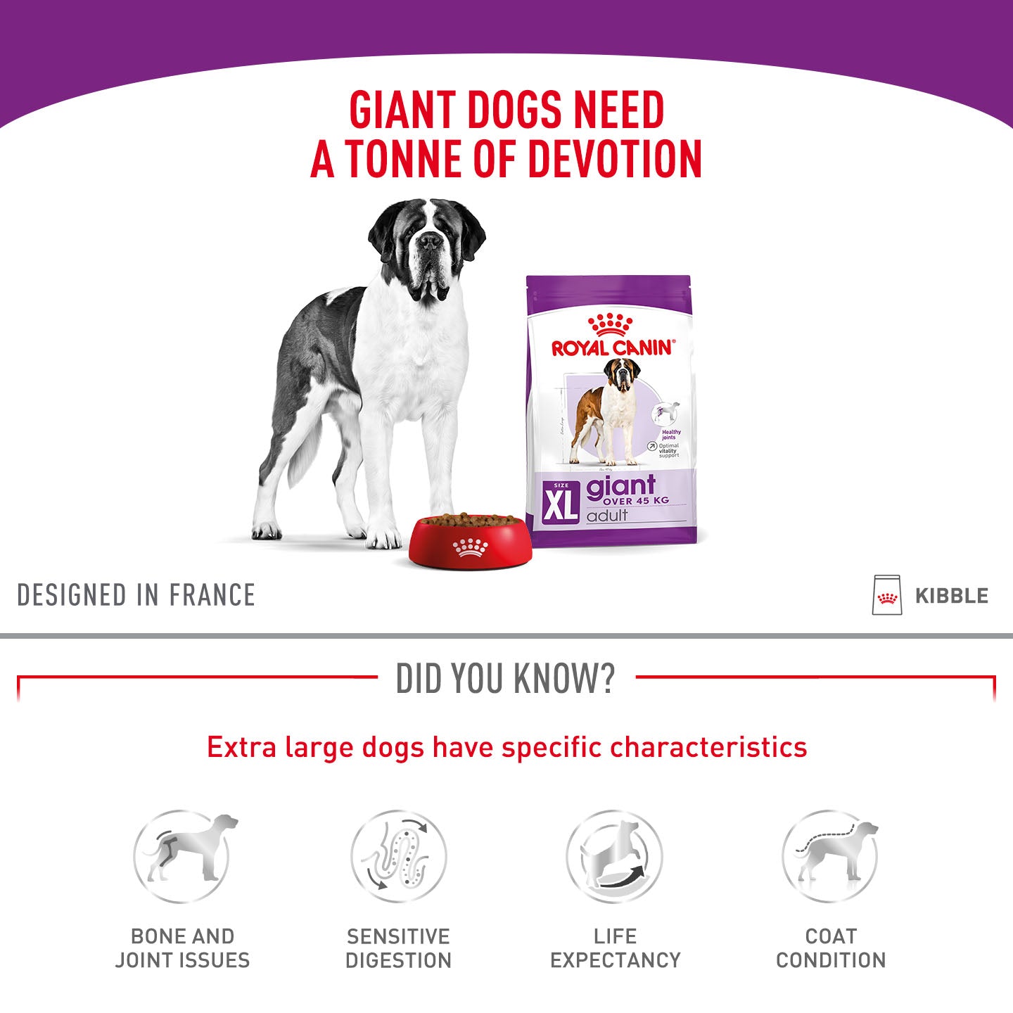 Royal Canin Size Health Nutrition Giant Adult Dry Dog Food