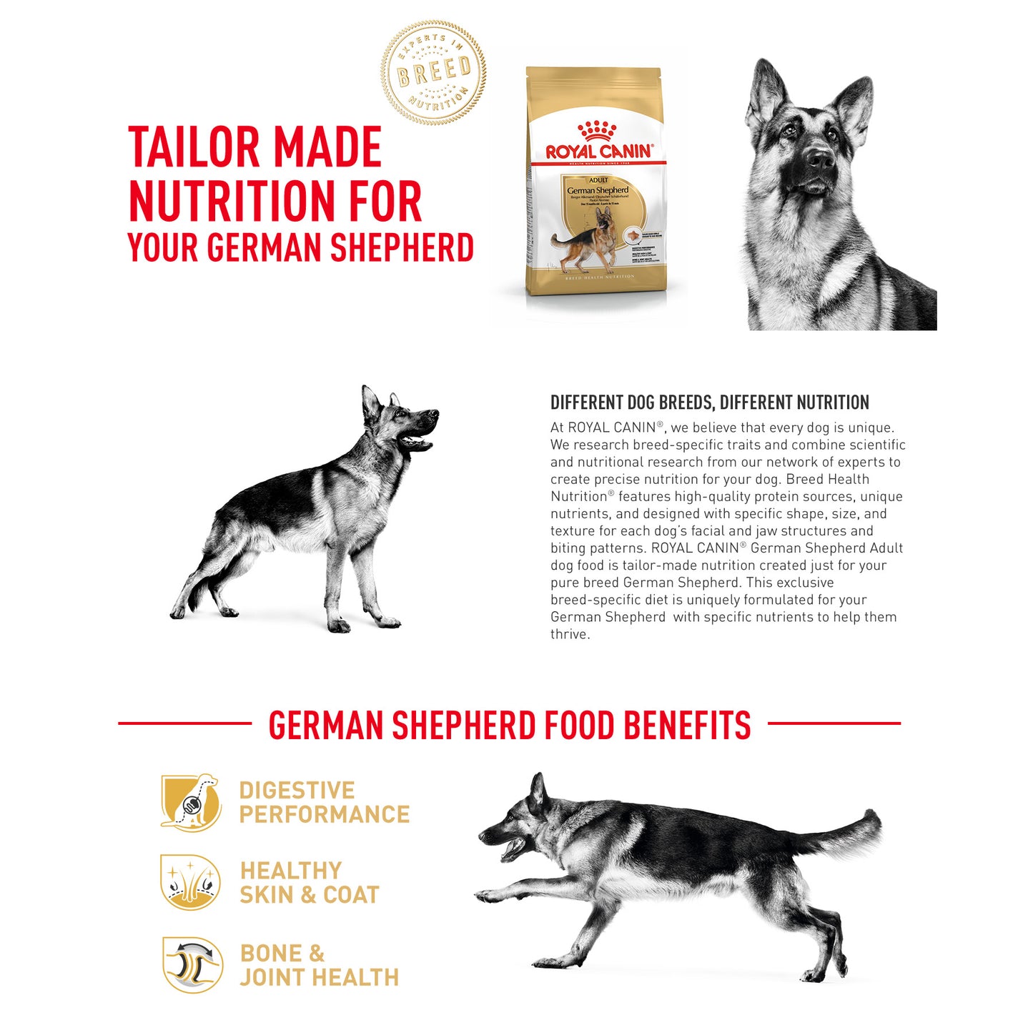 Royal Canin Breed Health Nutrition German Shepherd Puppy Dry Dog Food