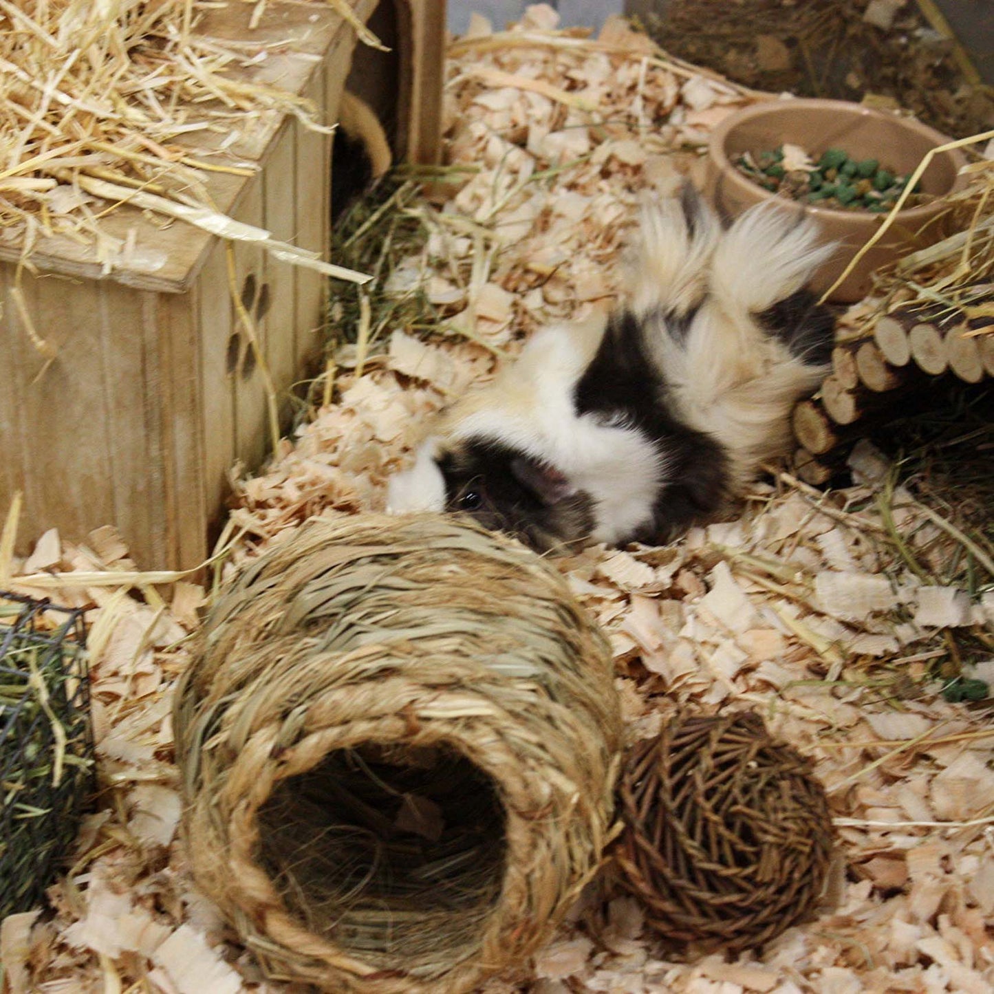 Happy Pet Jumbo Grass House