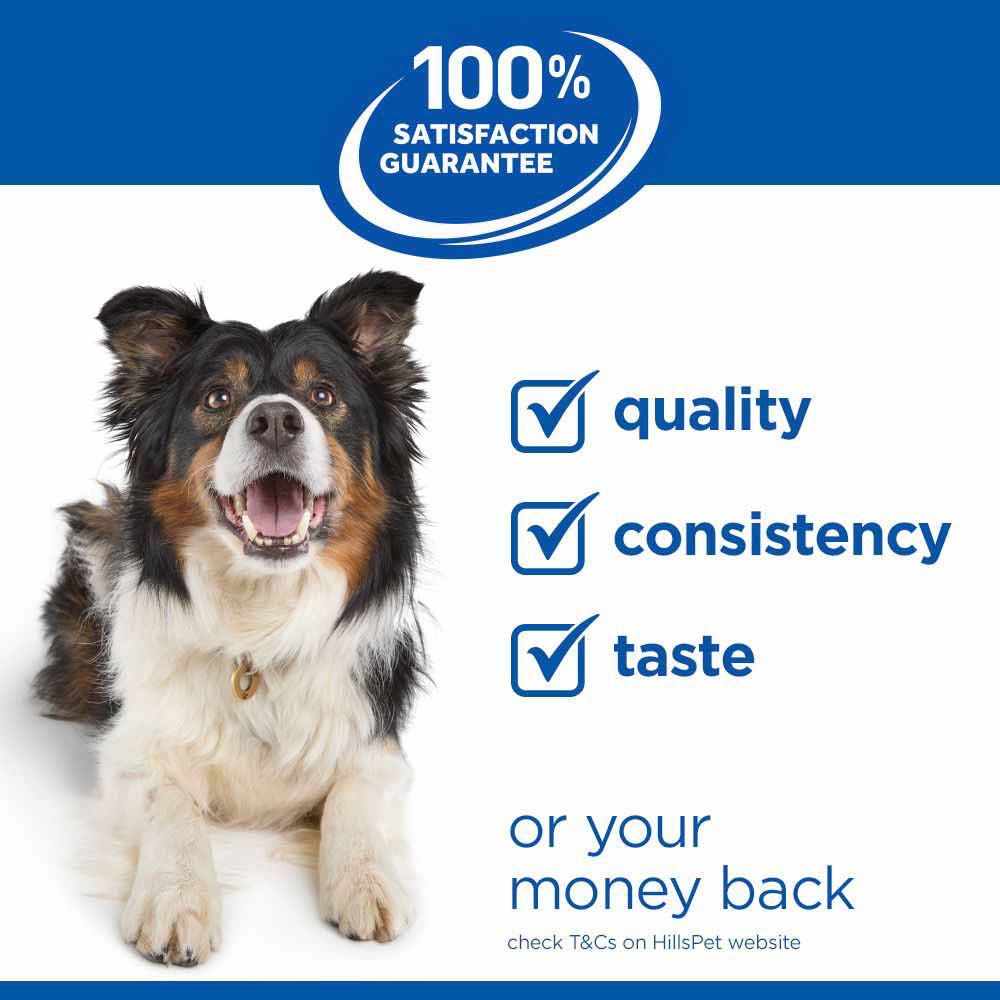 Hills Science Plan Large Breed Mature Dry Dog Food - Chicken
