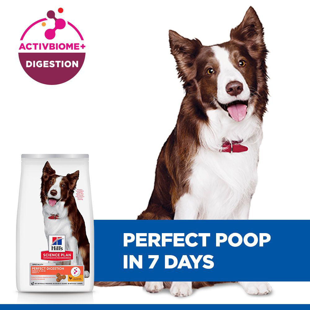 Hills Science Plan Perfect Digestion Medium Breed Adult Dry Dog Food - Chicken & Rice