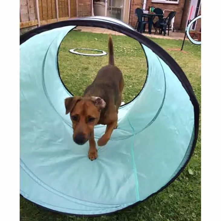SportPet Agility Training Kit