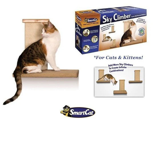 SmartCat Sky Wall Climber