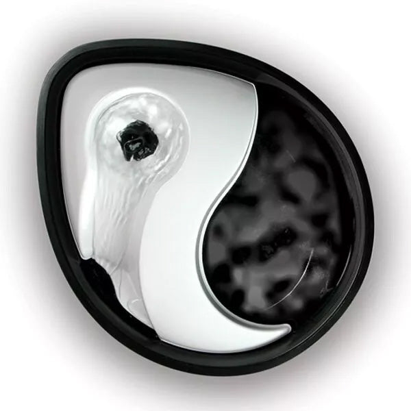 Pioneer Pet Raindrop Plastic Pet Fountain - 1.8 Litres