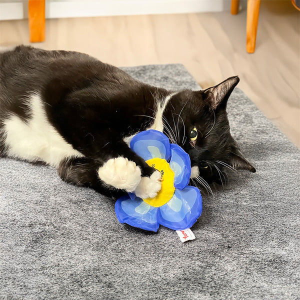 Yeowww! Daisy Flower Top Cat Toy