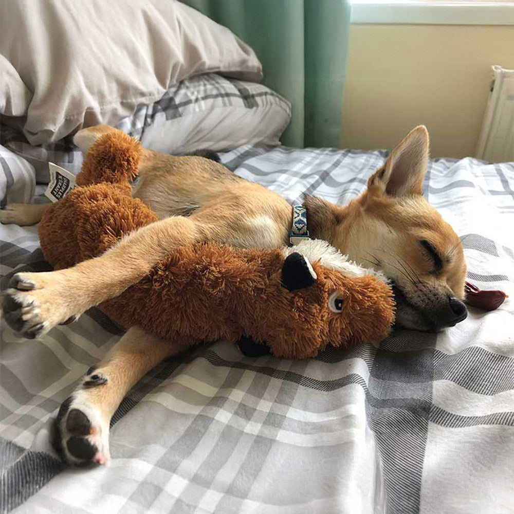 Ruff n Tumble Shake-a-Fox
