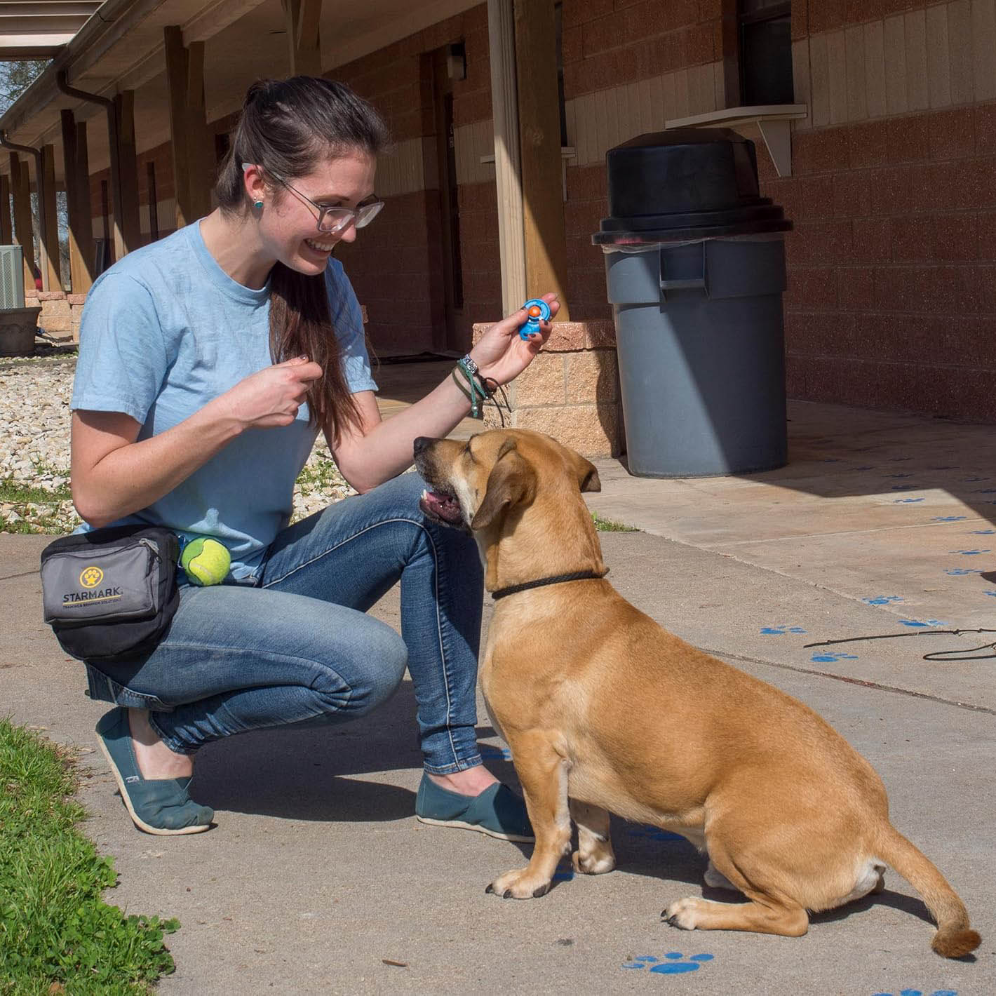 StarMark Pro-Training Clicker