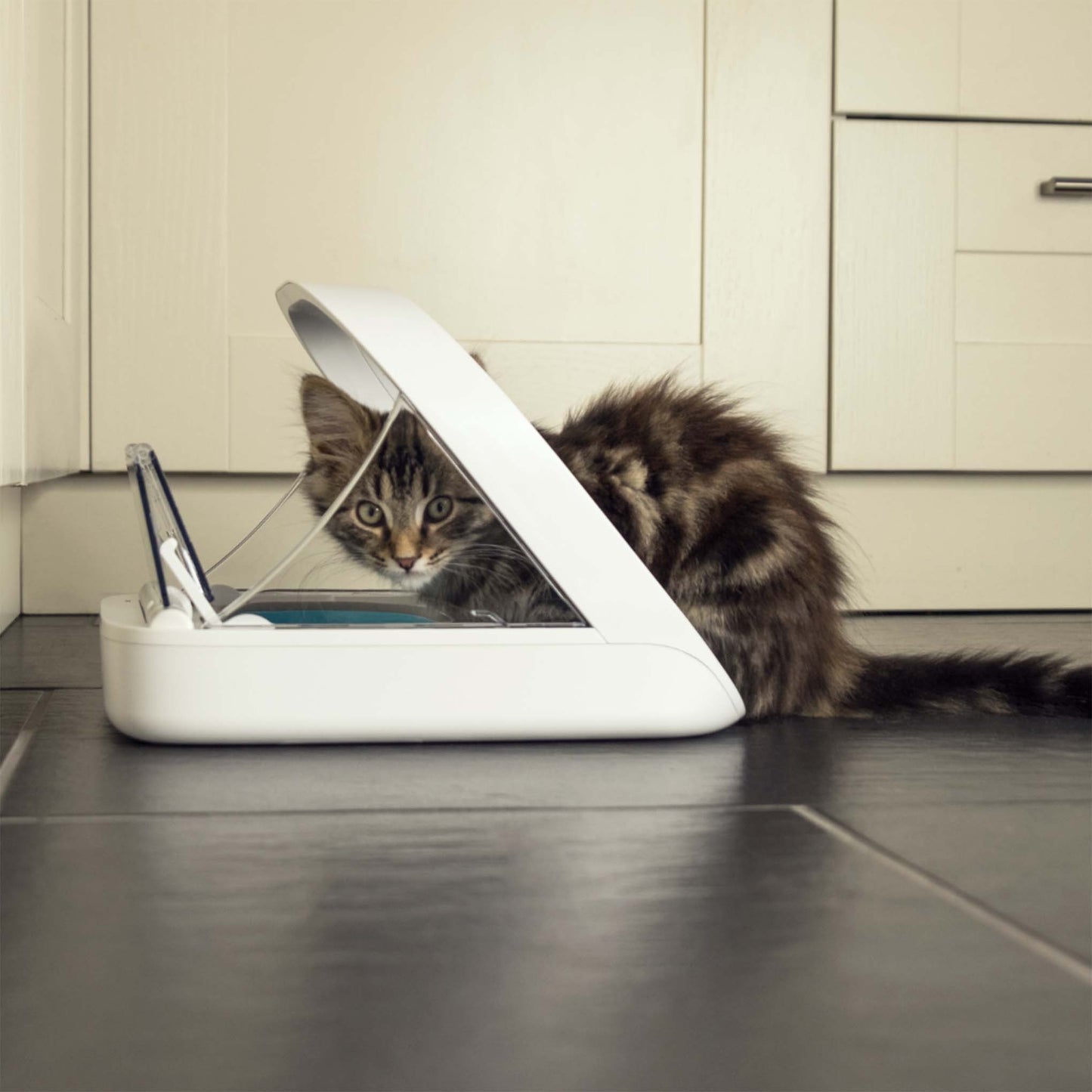 Surefeed Microchip Pet Feeder