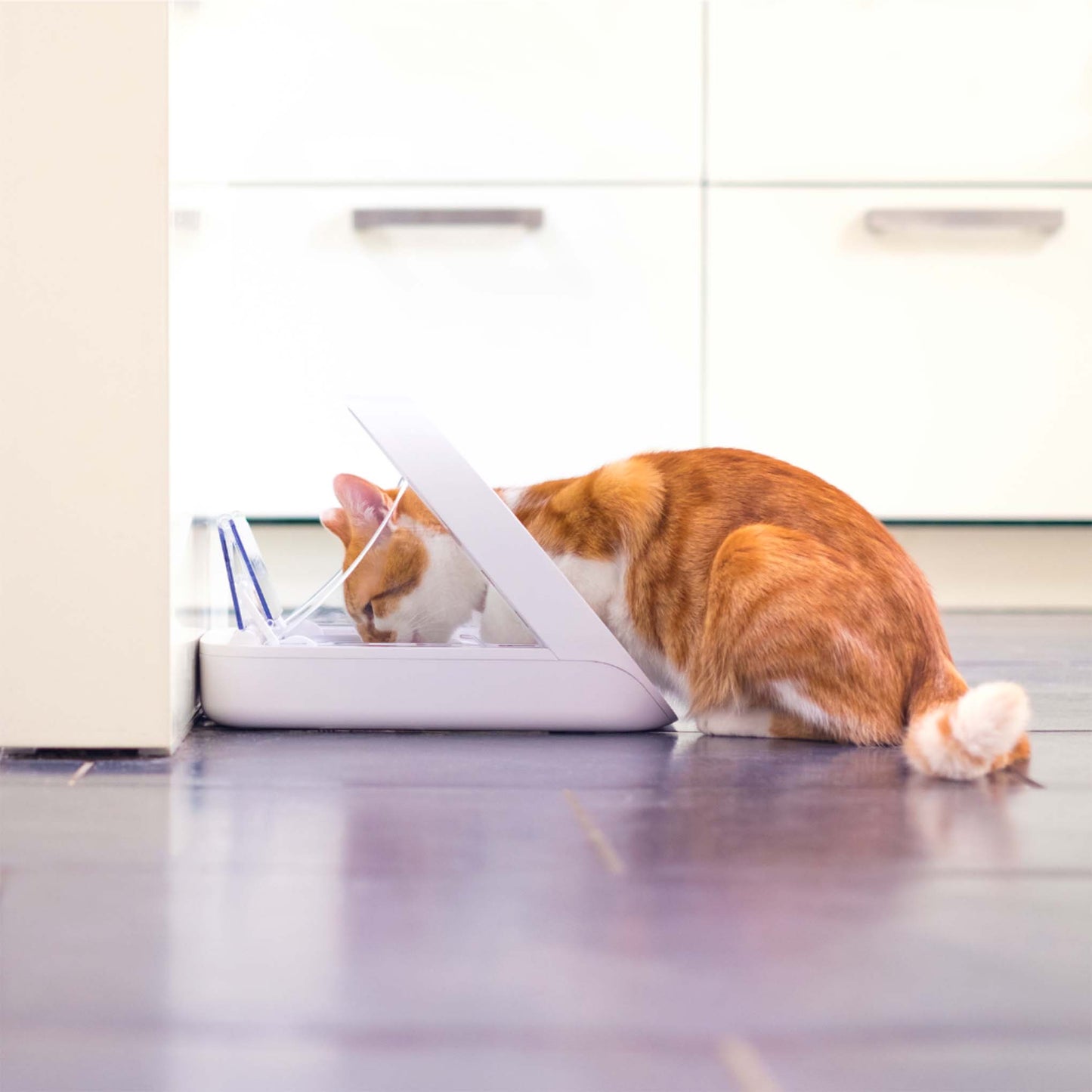 Surefeed Microchip Pet Feeder