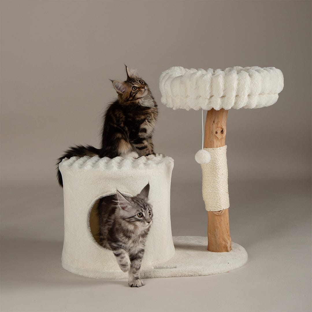 Scruffs Alpine Himalayas Cat Tree - Cream