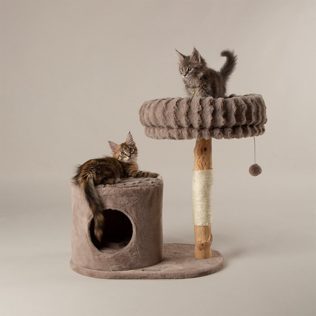 Scruffs Alpine Himalayas Cat Tree - Taupe