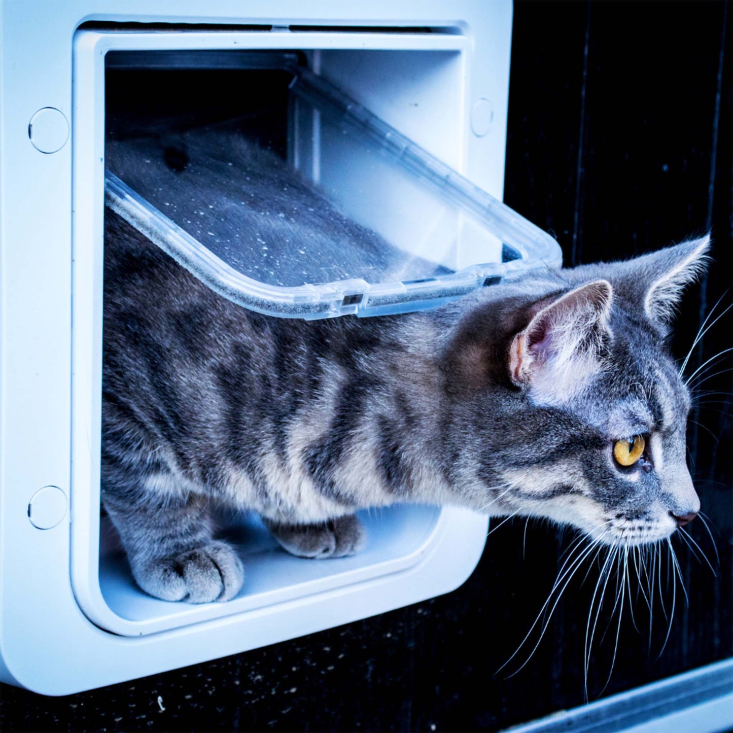 Sureflap Microchip Pet Door