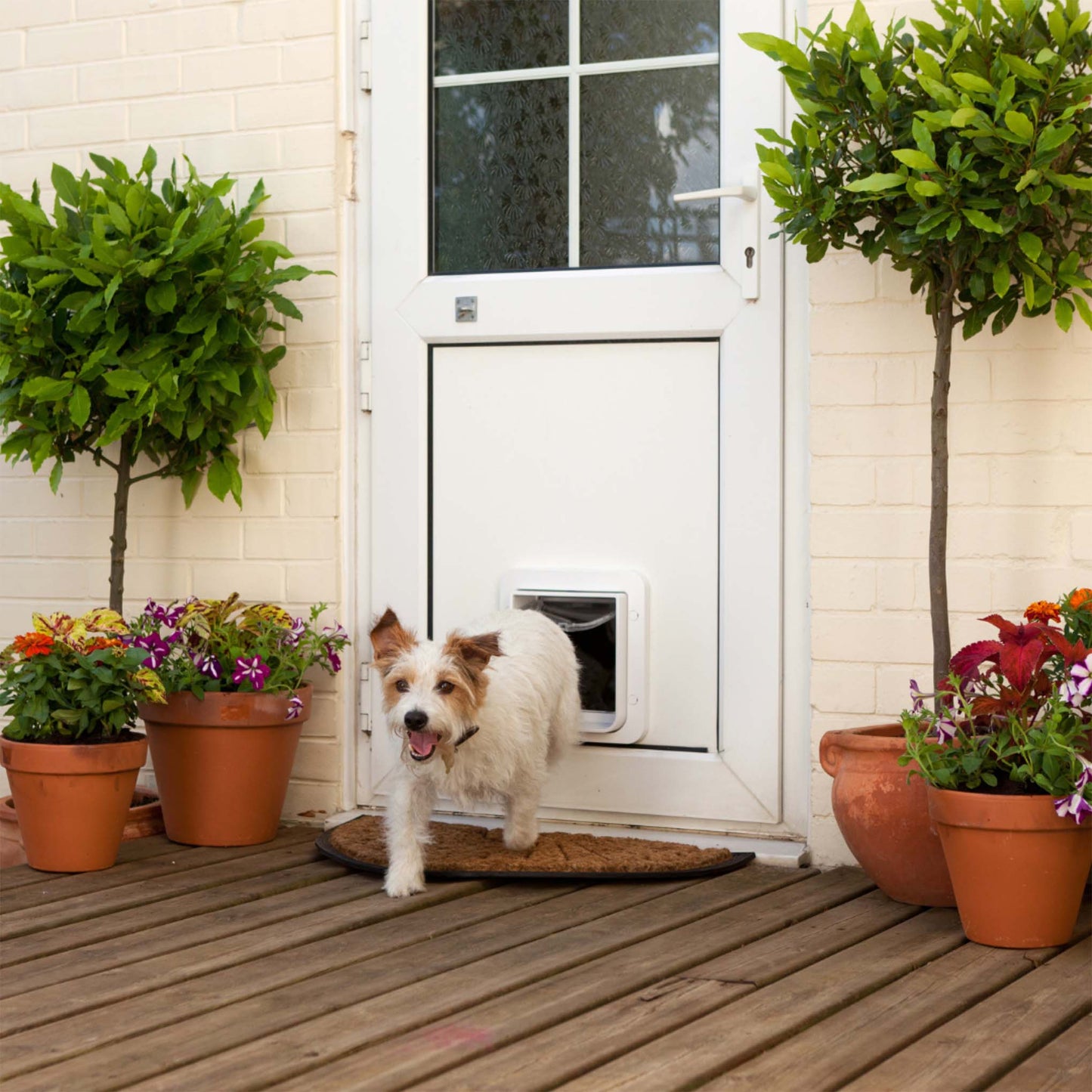 Sureflap Microchip Pet Door