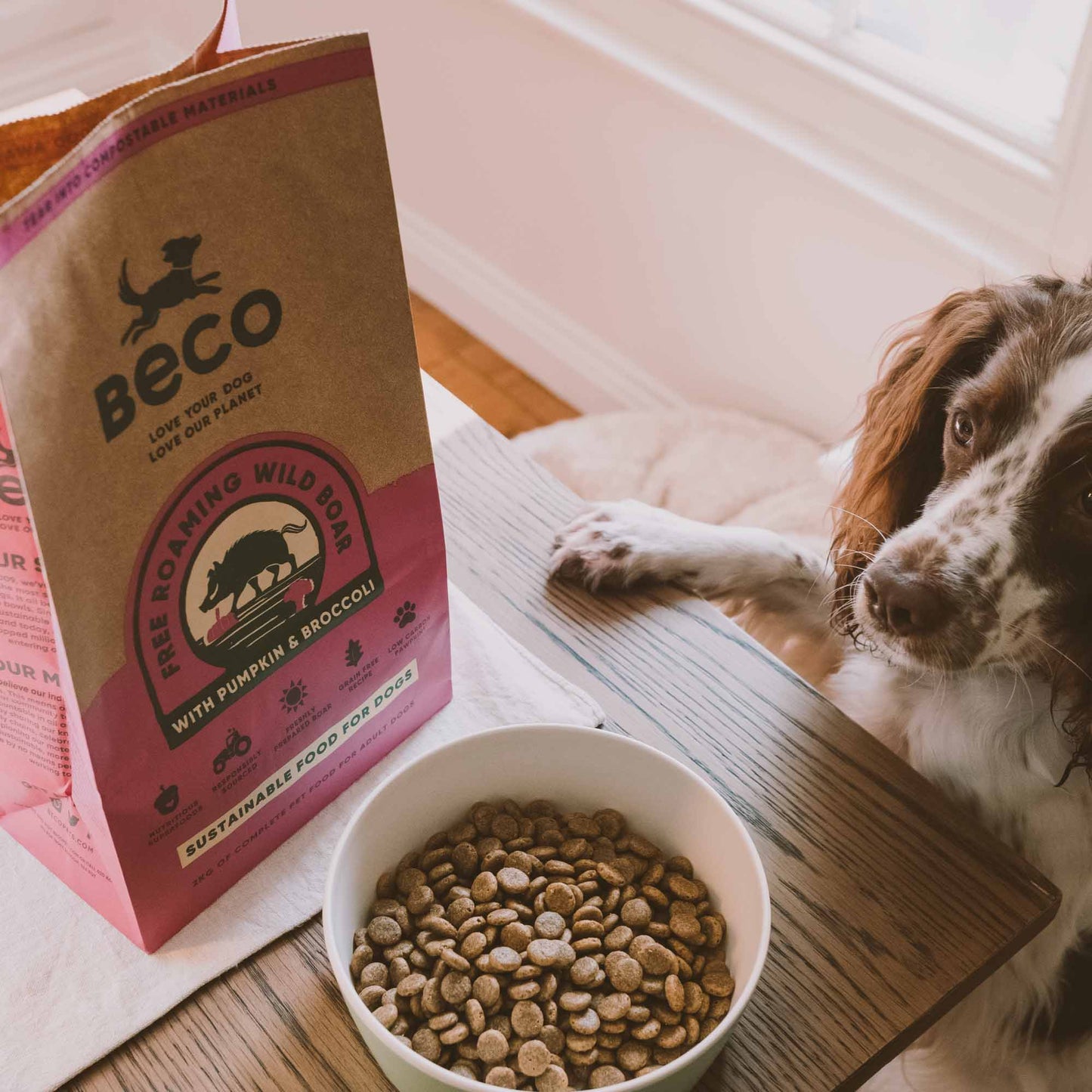 Beco Wild Boar Adult Dry Dog Food