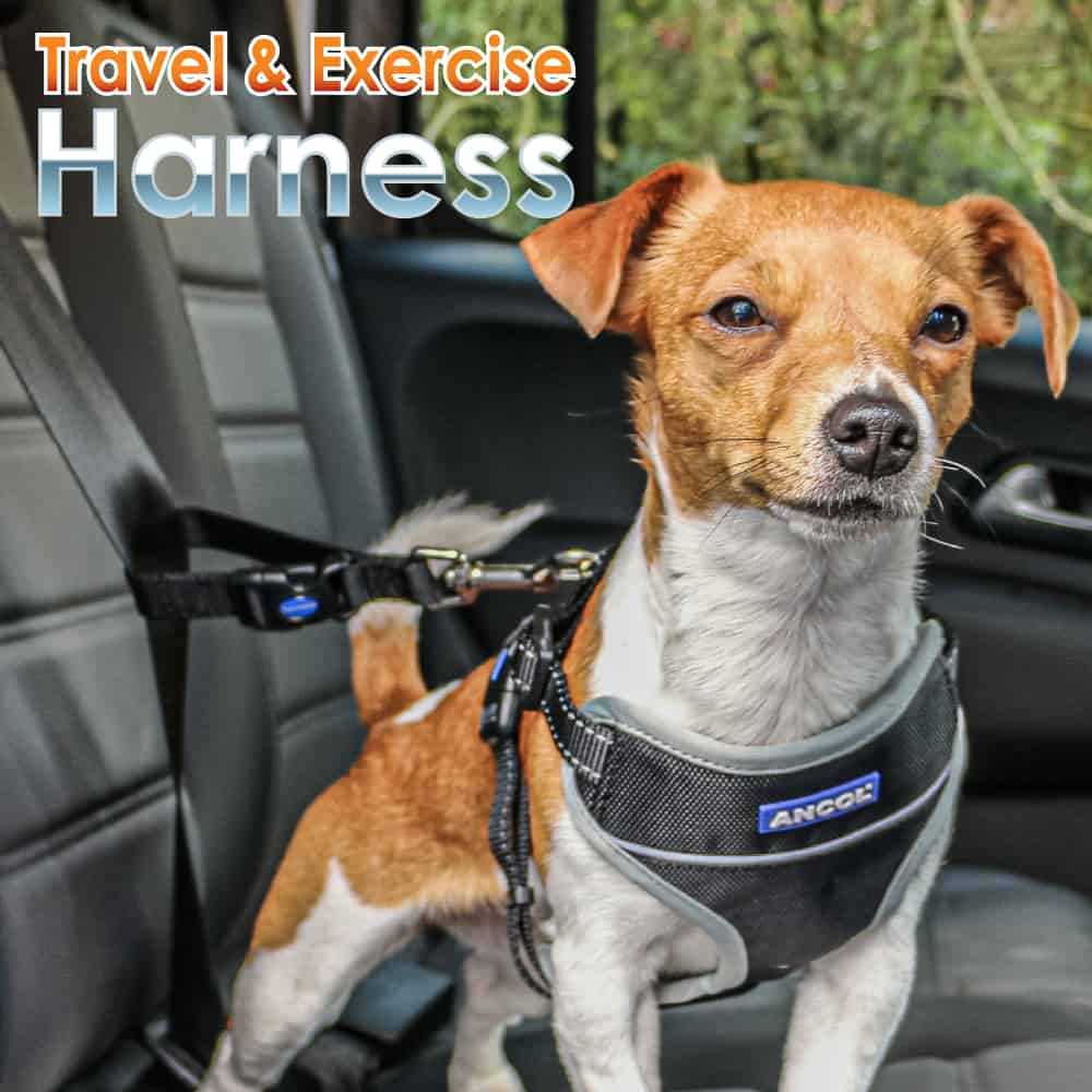 Ancol Travel and Exercise Harness - Small 37-58cm