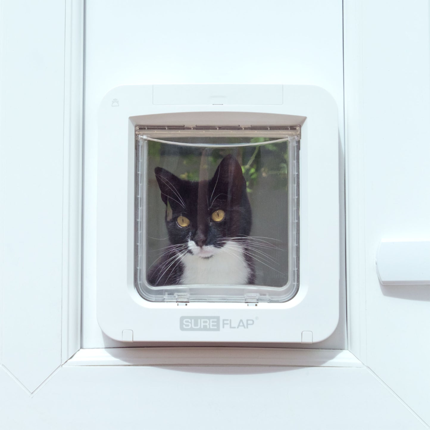 SureFlap Microchip Pet Door Connect with Hub