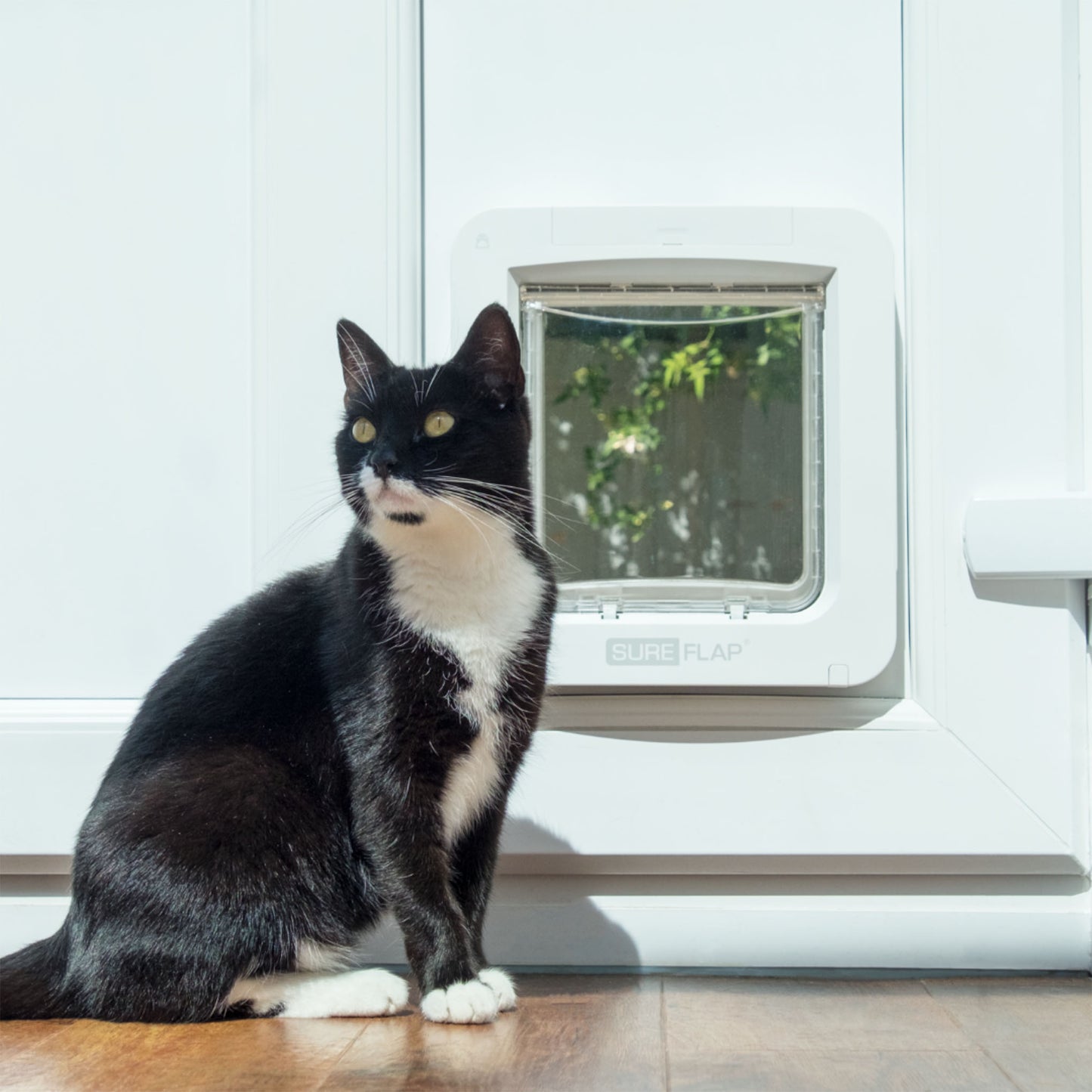 SureFlap Microchip Pet Door Connect with Hub
