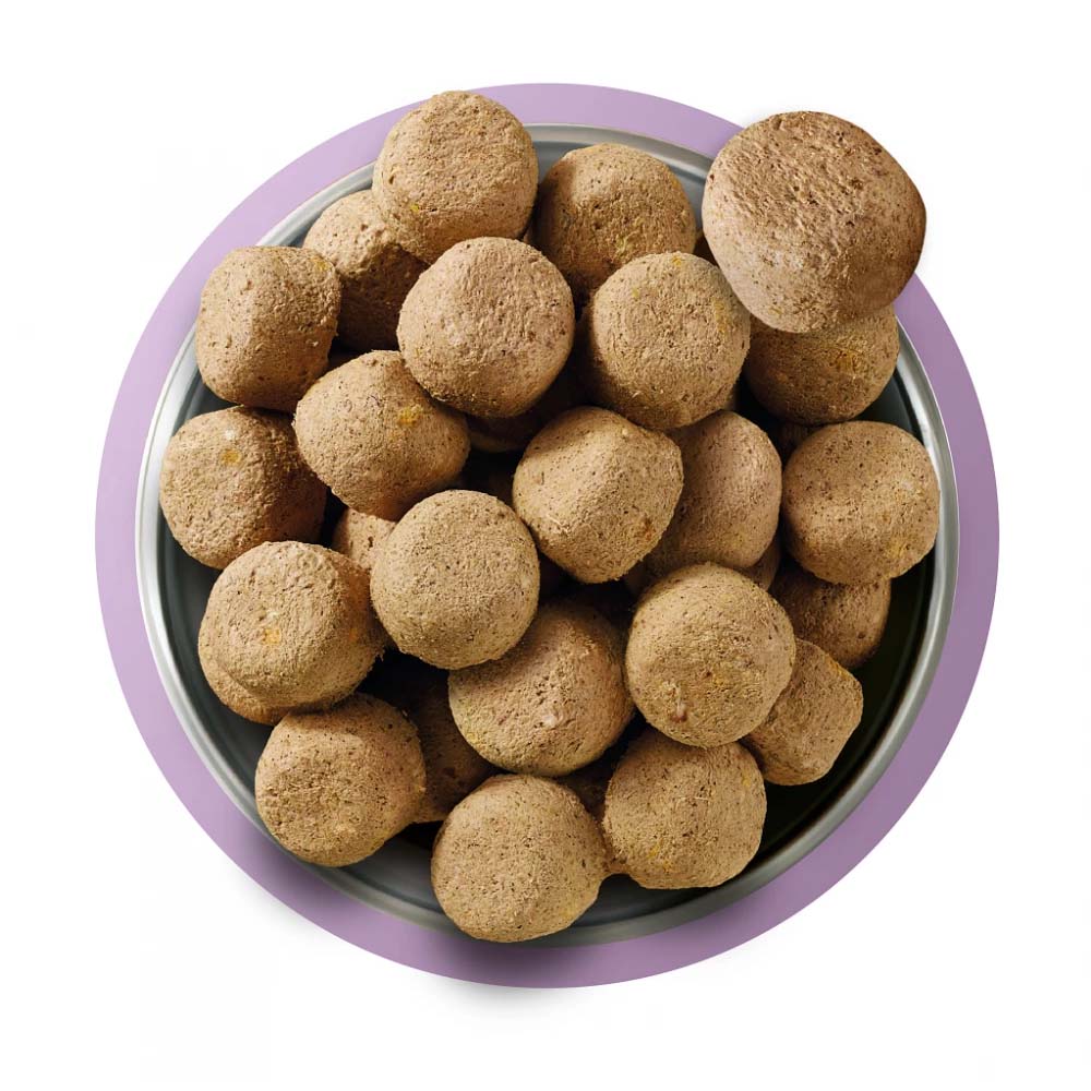 Natures Menu Complete & Balanced Freeze Dried Dog Food - Turkey Nuggets - 120g