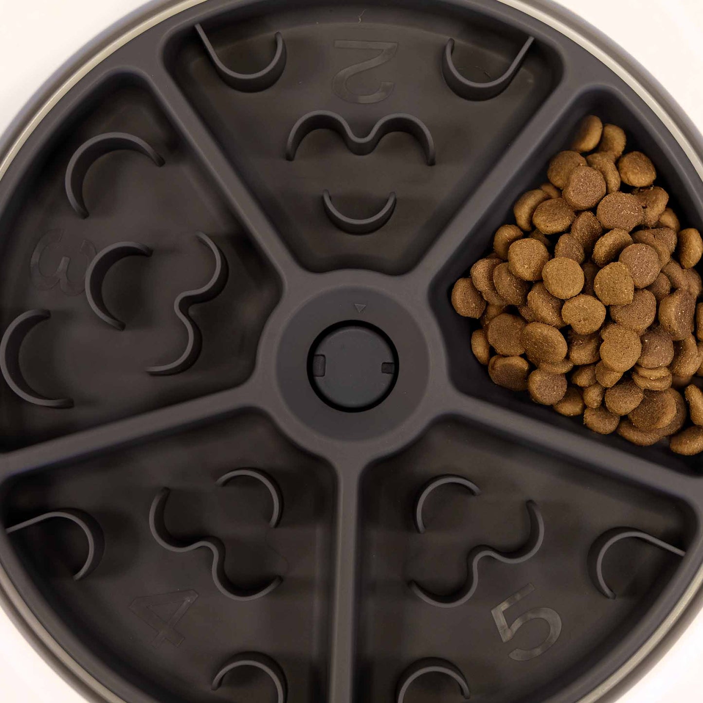 5 Meal Automatic Pet Feeder by Petplanet