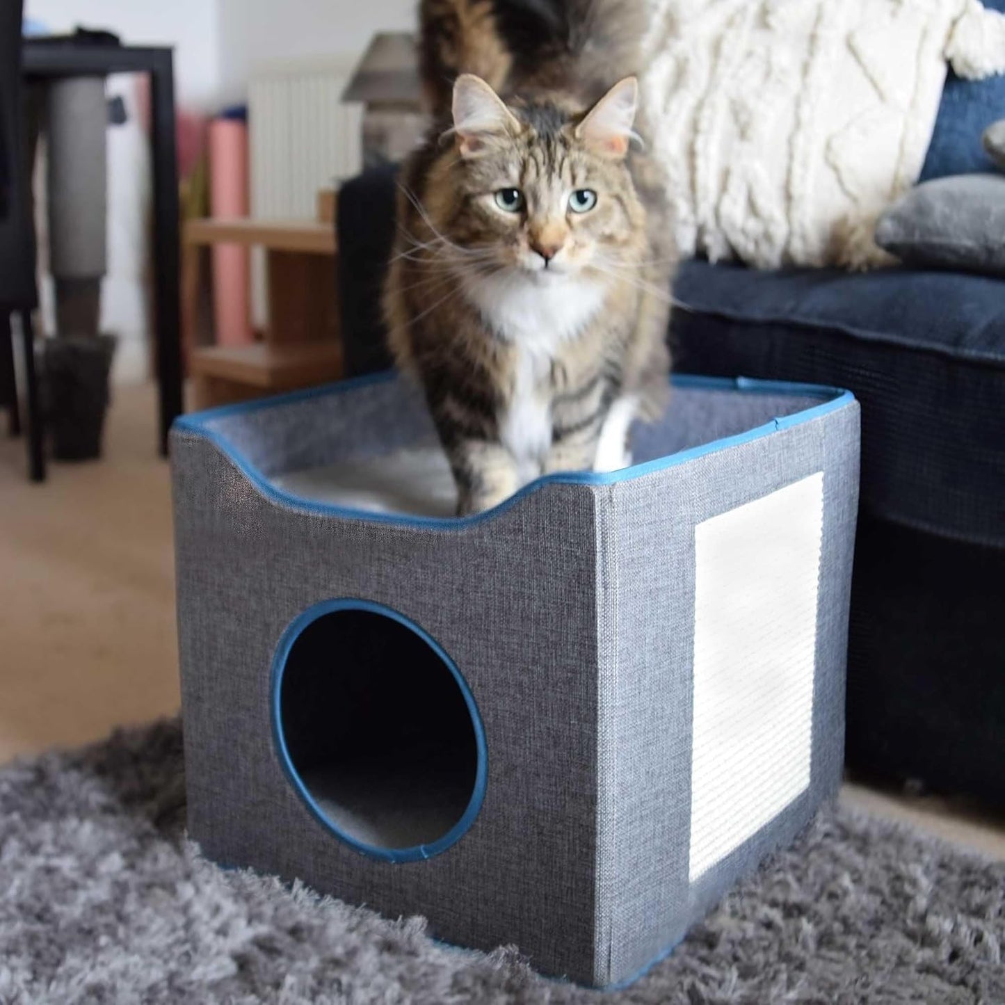 Purrshire Foldable Cat Condo