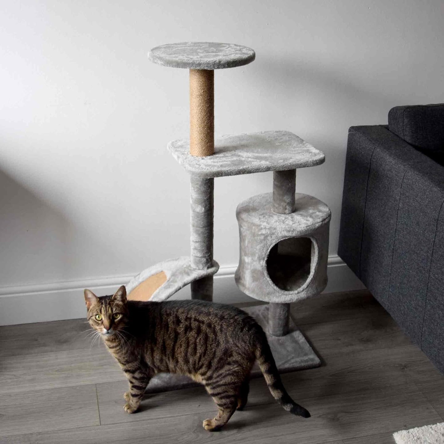 Purrshire Scratch and Play Cat Activity Centre