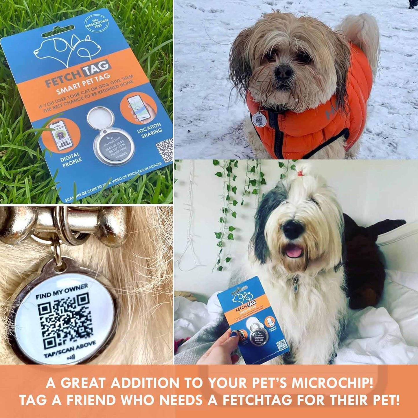 Fetch Tag - Smart Pet Tag