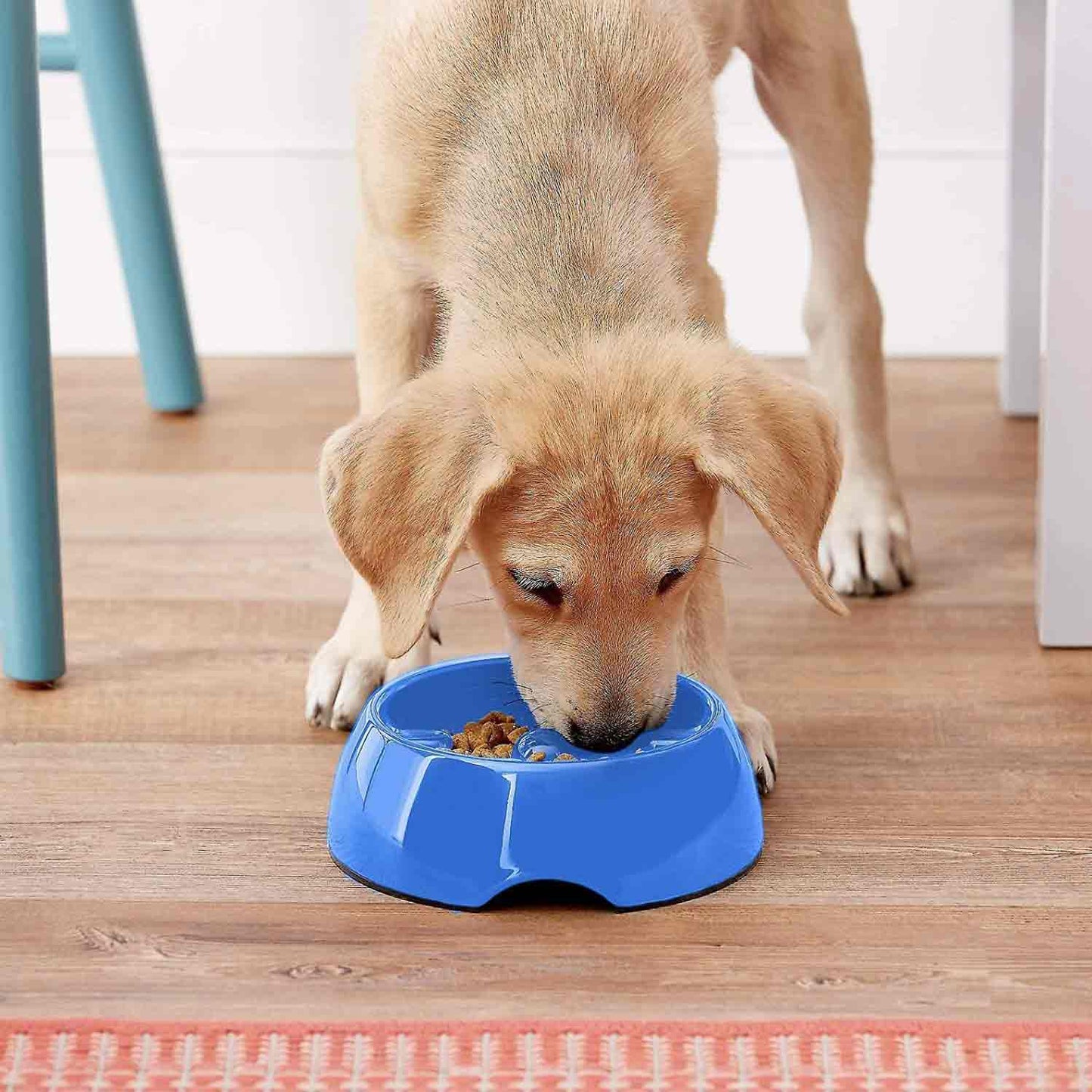 Dogit Anti Gulping Bowl - Small - 300ml - Blue