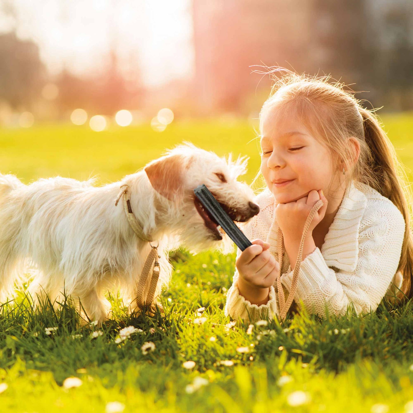 Beaphar Dental Sticks for Small Dogs - 7 sticks