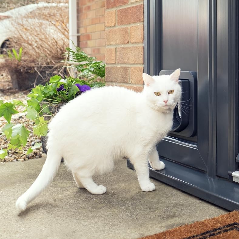 Sureflap Microchip Cat Flap - Grey/White
