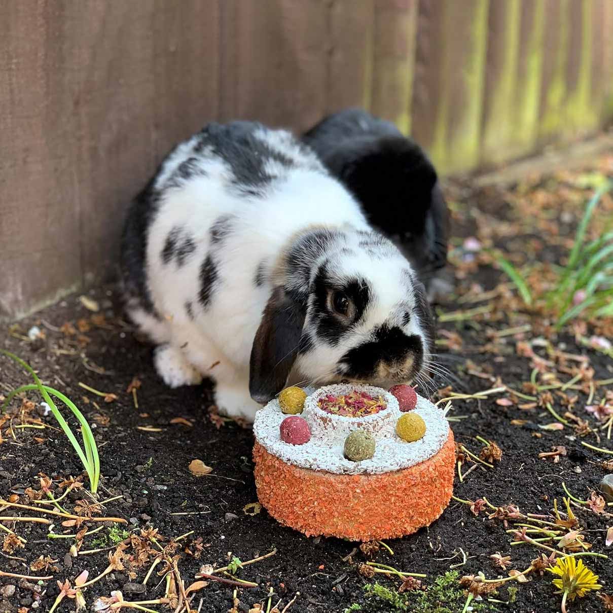 Rosewood Naturals Celebration Cake